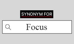 results focussed|results focused synonym.